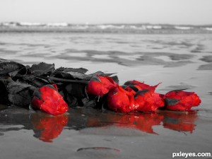 Lost-Love-4d483d7333834[1]