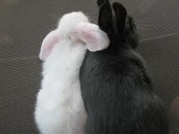 Sometimes opposites attract.